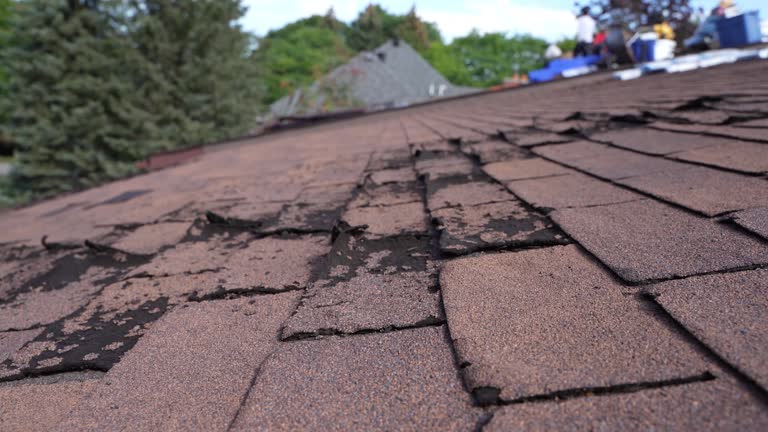 Best Hot Roofs  in Shippensburg University, PA