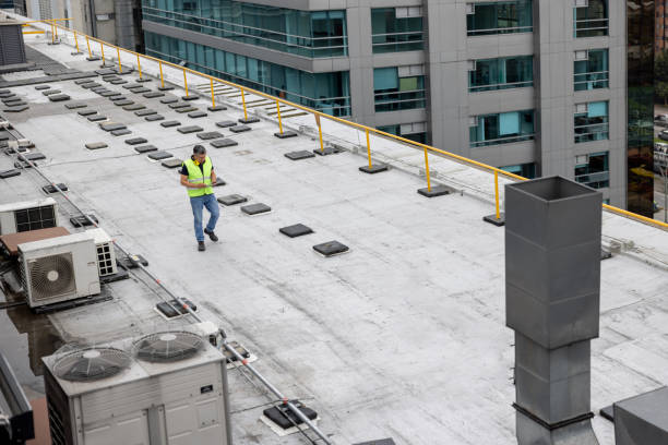Best Steel Roofing  in Shippensburg University, PA