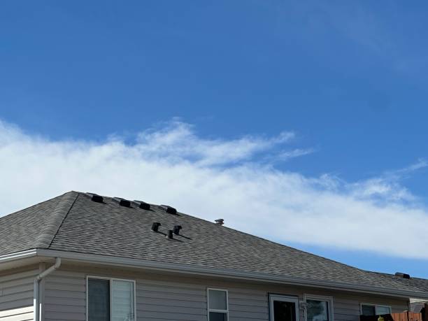 Best Roof Maintenance and Cleaning  in Shippensburg University, PA